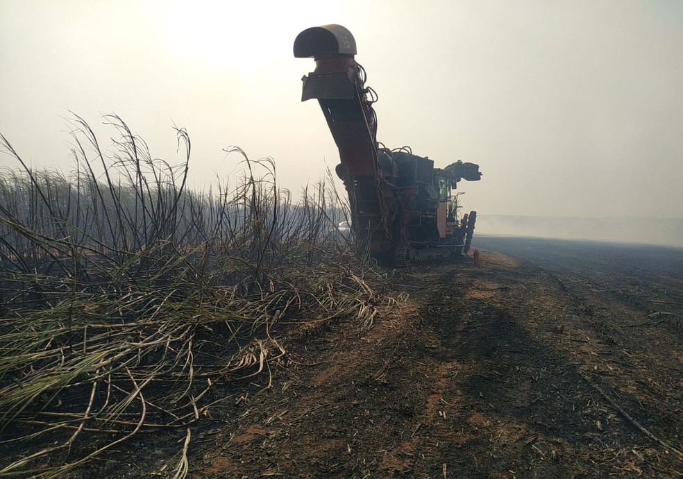 Fogo teria começado após uma máquina colheitadeira ter se incendiado — Foto: Polícia Ambiental