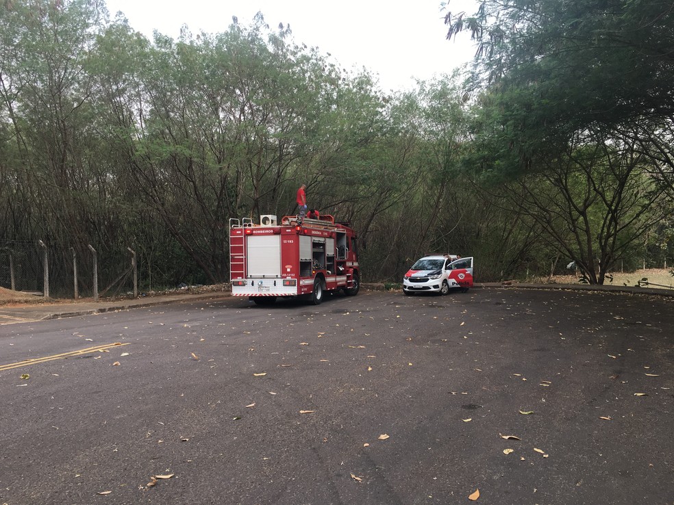 Equipes do Corpo de Bombeiros e da PM compareceram ao local — Foto: Stephanie Fonseca/G1