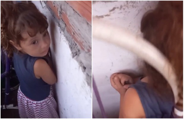 Julia segurou o ratinho nas mãos pois queria salvá-lo (Foto: Reprodução Tik Tok)