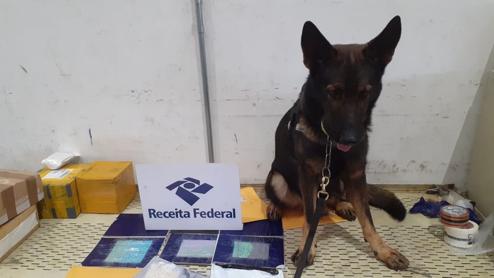 Receita apreende cargas de ecstasy dentro de encomendas nos ...