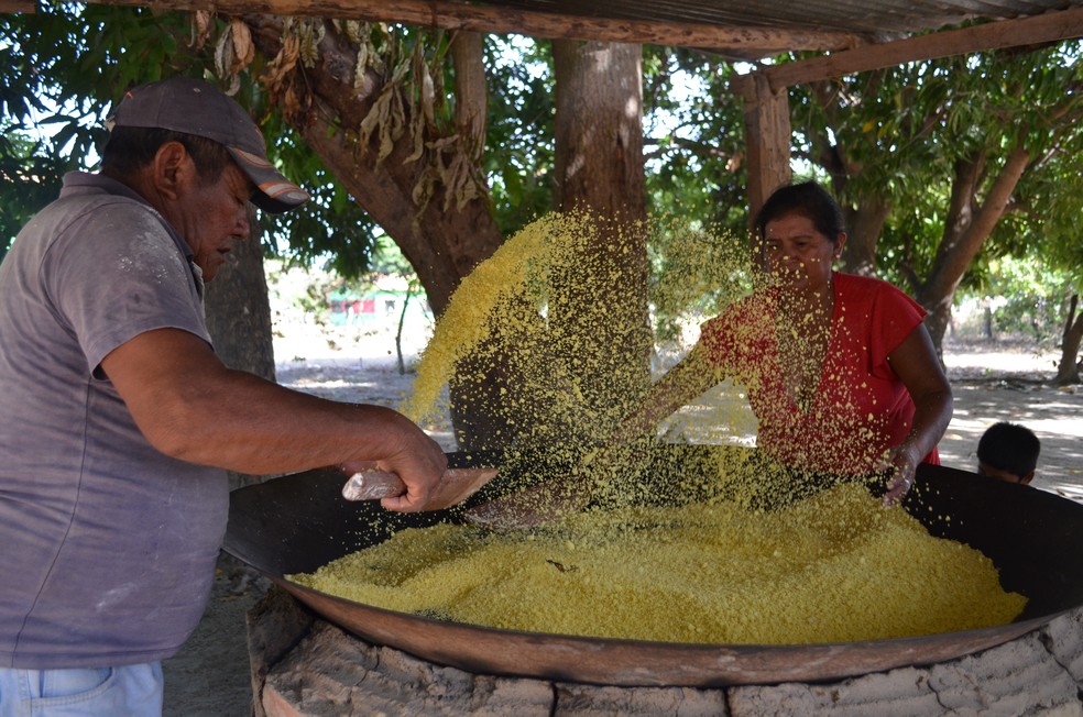 Produção de farinha de mandioca também faz parte do costume das famílias indígenas da Raposa Serra do Sol I — Foto: Valéria Oliveira/G1