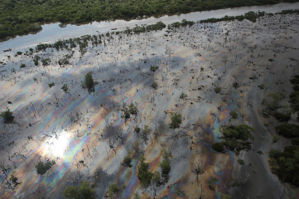 Vazamento de óleo no Rio Estrela atingiu a BaÃ­a de Guanabara, no RJ â€” Foto: Mário Moscatelli/ Projeto Olho Verde
