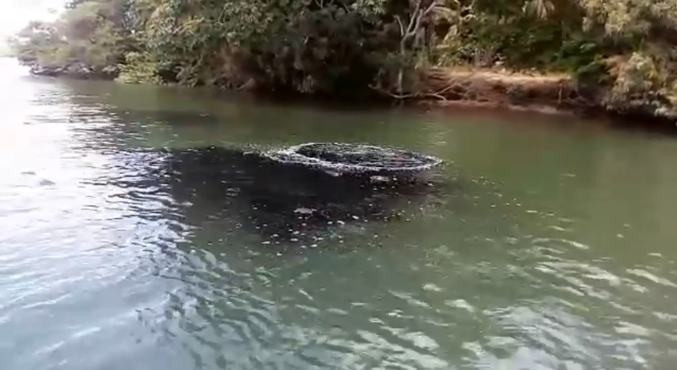 Mancha apareceu no Rio SÃ£o Francisco em Alagoas no ano de 2015 â Foto: ReproduÃ§Ã£o
