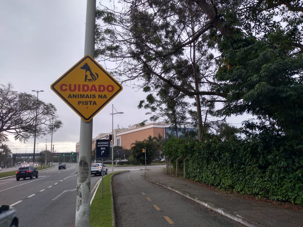 Florianópolis instala placas para pedir atenção de moradores sobre presença de jacarés e capivaras em avenida