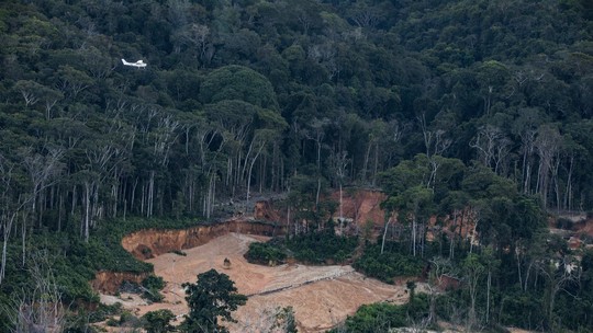 Operações da PF na Amazônia bloquearam quantia milionária ligada ao garimpo e a madeireiros em 2023; veja quanto