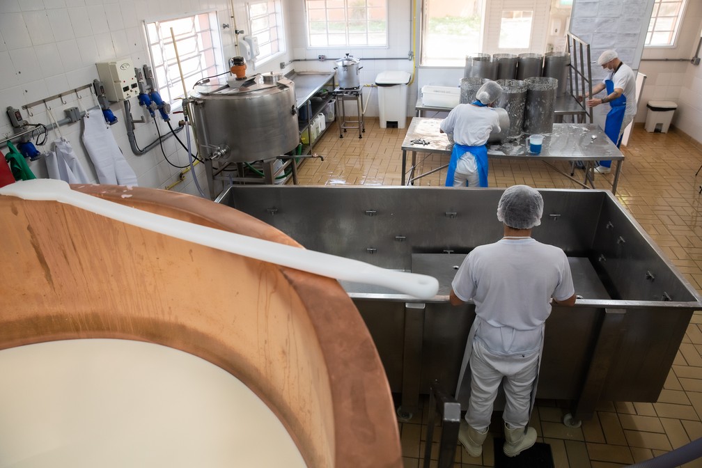 Sala de queijaria do Queijo Pardinho Artesanal — Foto: Celso Tavares / g1