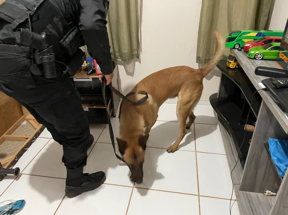 Buscas e apreensão na casa dos integrantes  — Foto: Polícia Federal