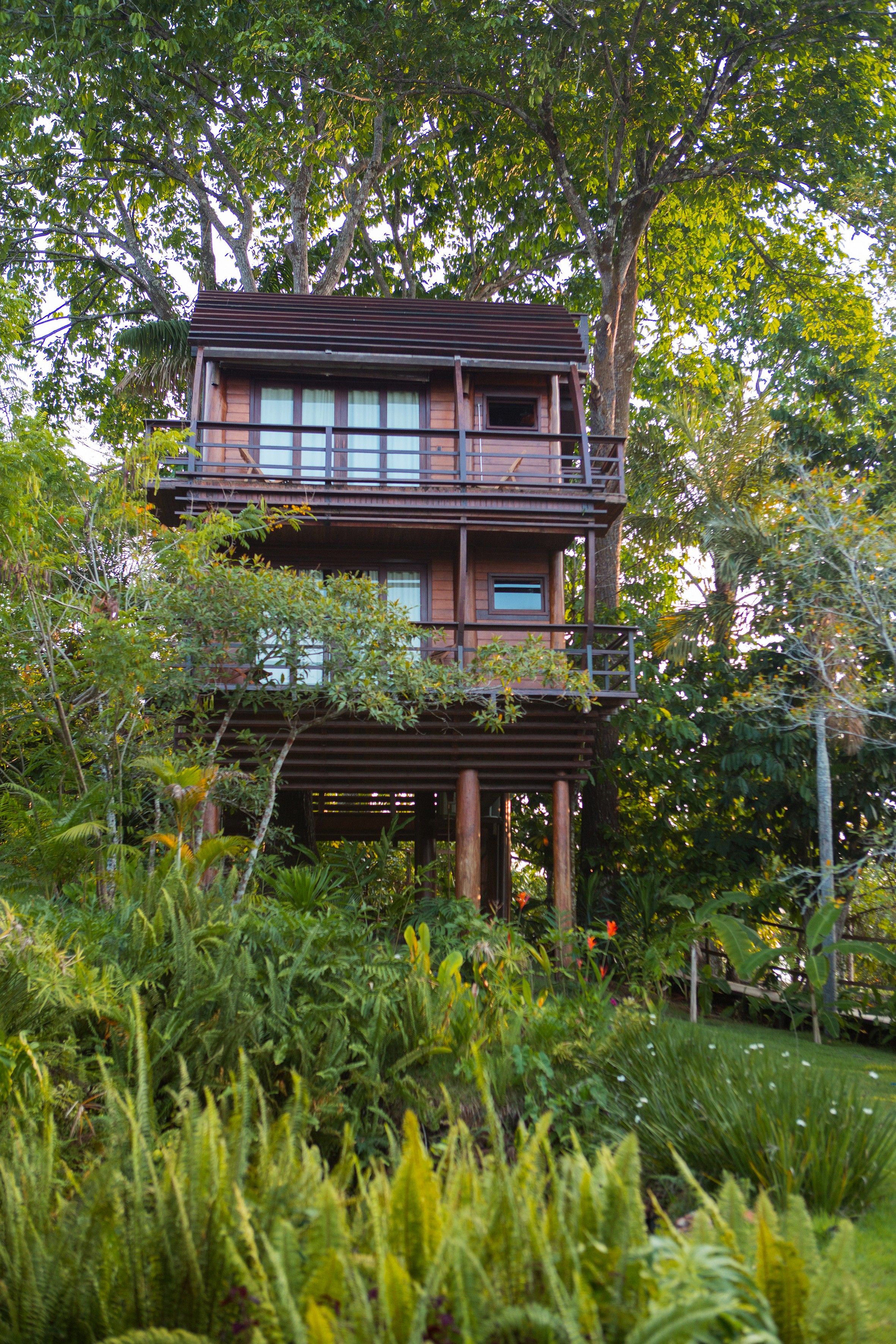 O Mirante do Gavião Lodge, no Rio Negro, Amazônia  (Foto: Divulgação)