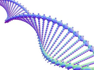 Os nucletídeos são representados nessa ilustração como cada uma das "bolinhas" na dupla hélice do DNA. (Foto: Pasieka / APA / SPL / AFP Photo)
