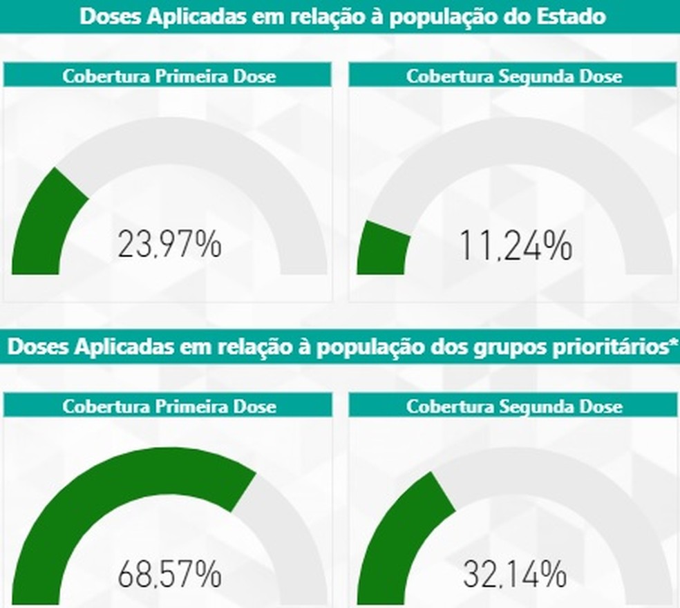 Apenas 11,24% do total da população de MG já recebeu as duas doses de vacina contra a Covid. — Foto: SES-MG