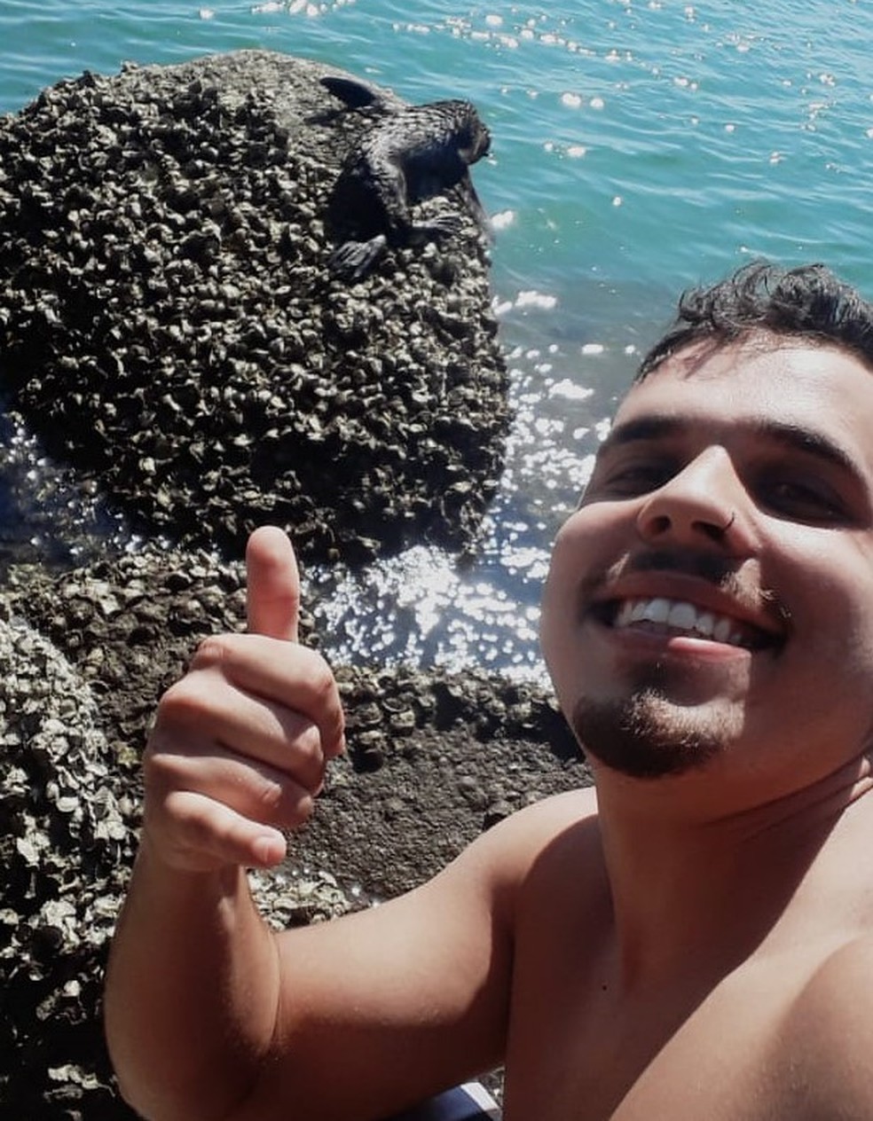 Banhista tirou uma 'selfie' com lobo-marinho em praia de Bertioga, SP &mdash; Foto: Arquivo pessoal/Raul Dei Gobbi Borges 