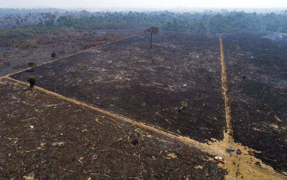 Uma área da floresta Amazônica consumida pelo fogo perto de Novo Progresso, no estado do Pará, em foto de agosto de 2020. — Foto: AP Photo/Andre Penner
