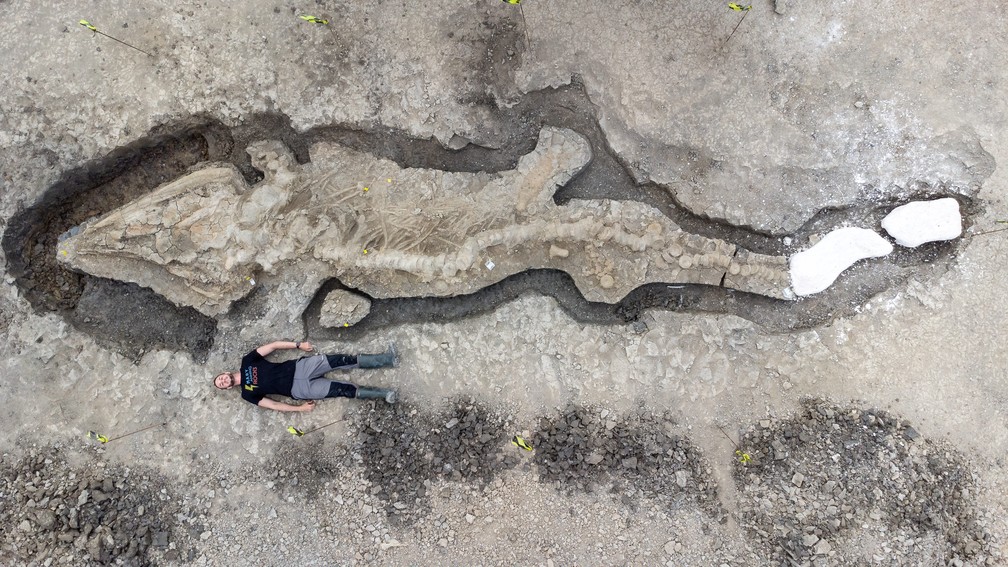 Fóssil do 'dragão marinho' descoberto no Reino Unido — Foto: Anglian Water/Matthew Power Photography via REUTERS