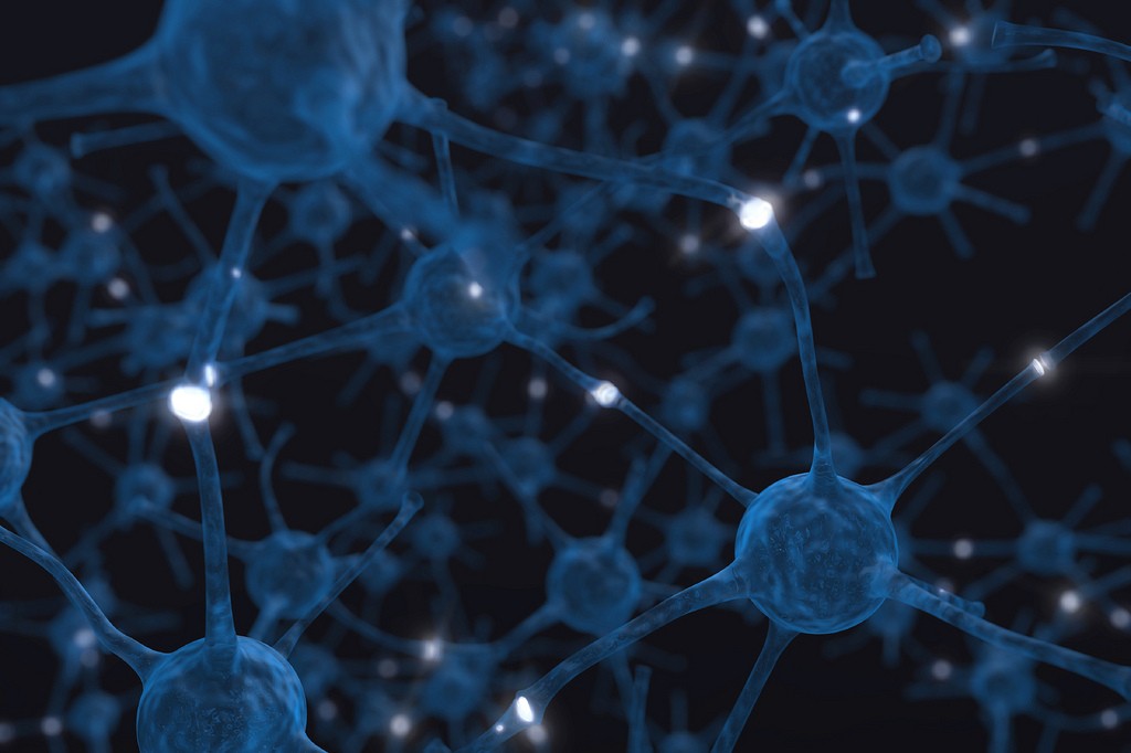 Ativando ou desestimulando a conexão entre as sinapses seria possível manipular memórias (Foto: flickr)