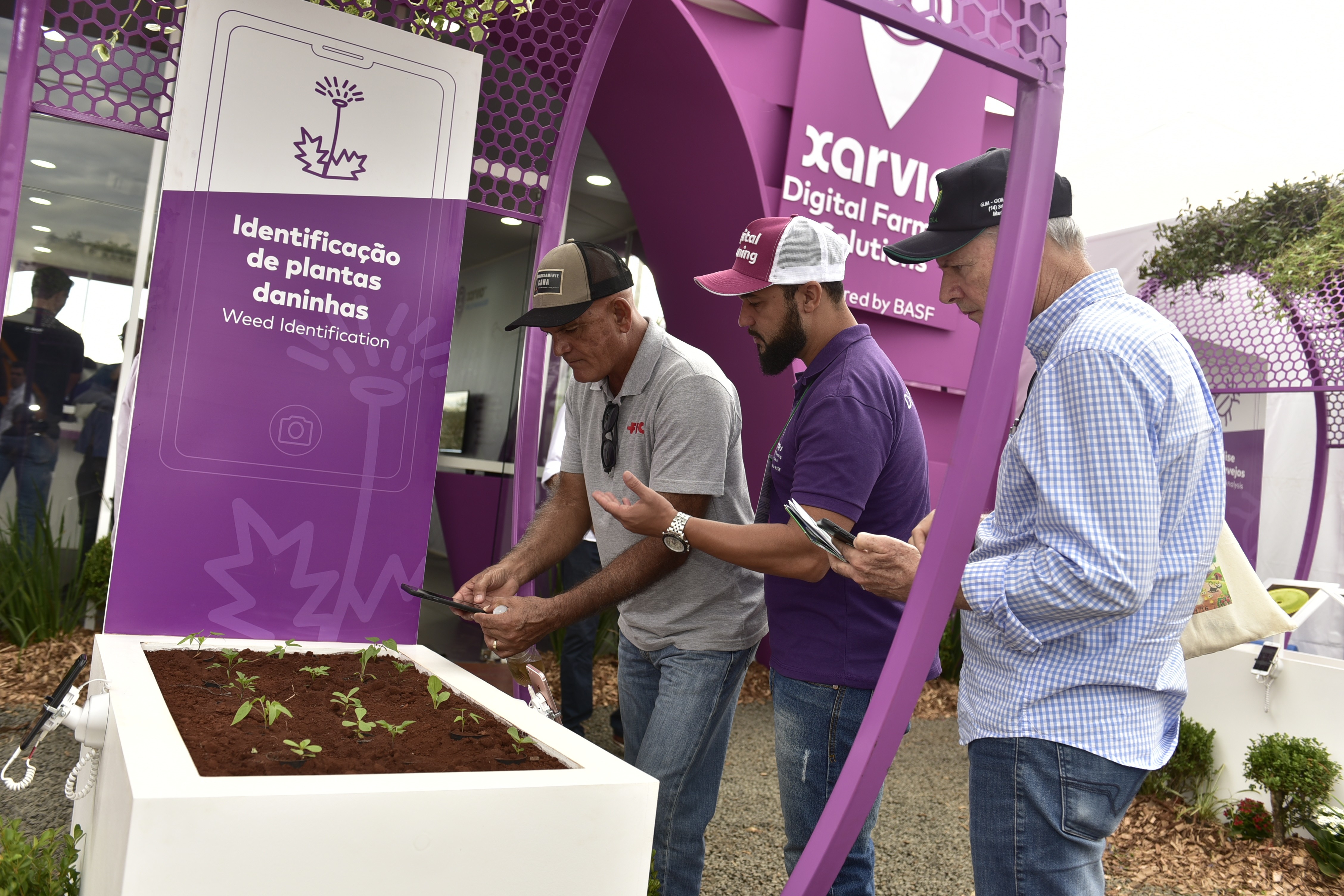 Com uma foto, app Scouting, da Xarvio, consegue identificar plantas daninhas, doenÃ§as e pragas  (Foto: DivulgaÃ§Ã£o/Xarvio/Basf)