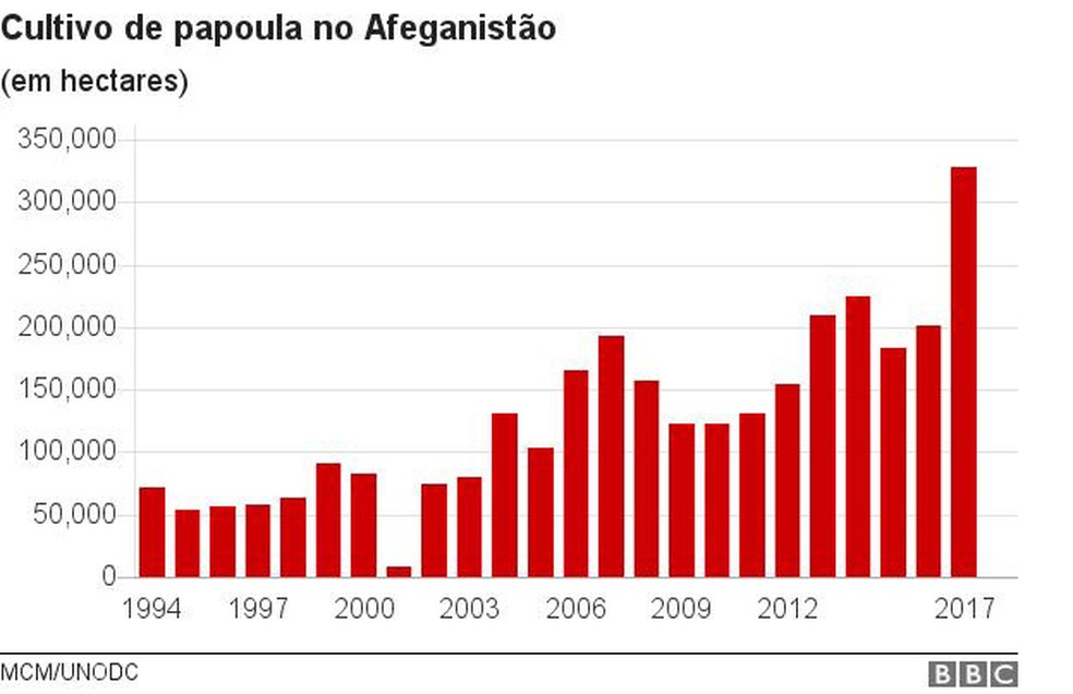 Cultivo de papoula no Afeganistão (Foto: BBC)