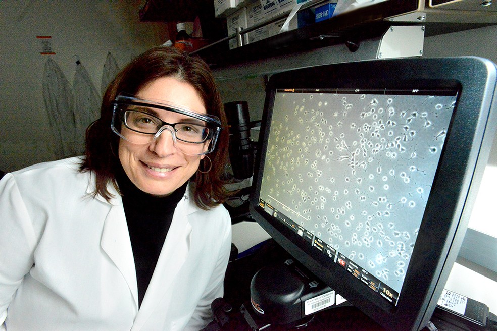 A pesquisadora Daniela Kaufer, da Universidade de Berkeley  — Foto: Divulgação: Berkeley University