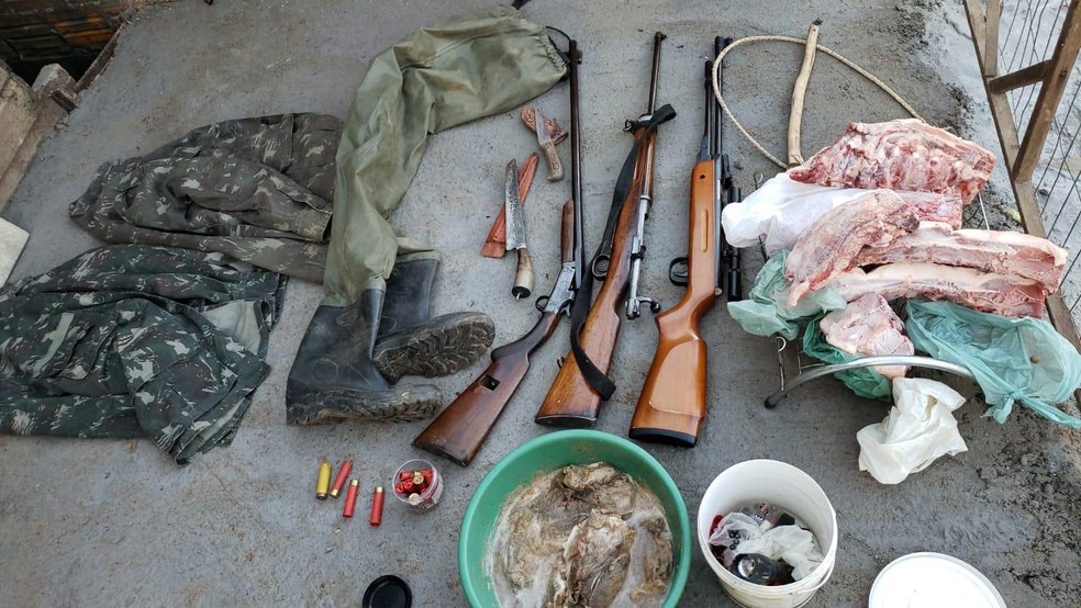 Foram apreendidas armas, munições, roupa de caça e carne dos animais  — Foto: Divulgação / Polícia Civil 