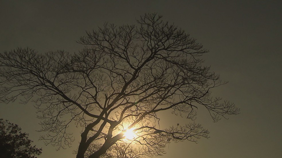Seca no DF, pôr do sol — Foto: TV Globo /Reprodução