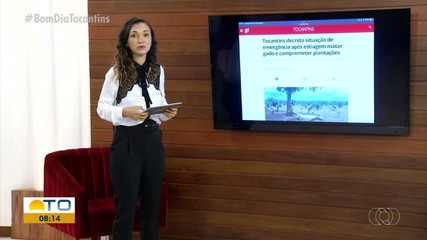 g1: Tocantins decreta situação de emergência após estiagem matar gado e afetar plantações