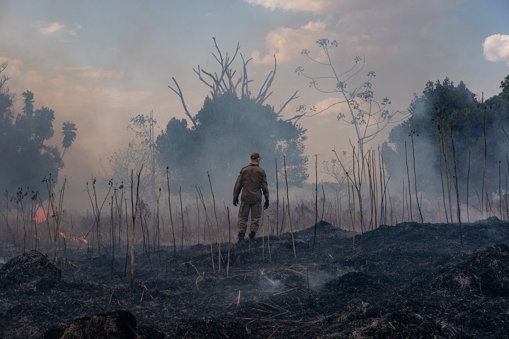 Governo de Mato Grosso decretou situaÃ§Ã£o de emergÃªncia devido Ã  estiagem e queimadas â Foto: Mayke Toscano/Secom-MT