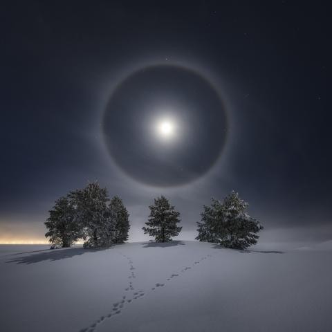 Visão panorâmica de um halo formado na Lua  (Foto: Göran Strand)