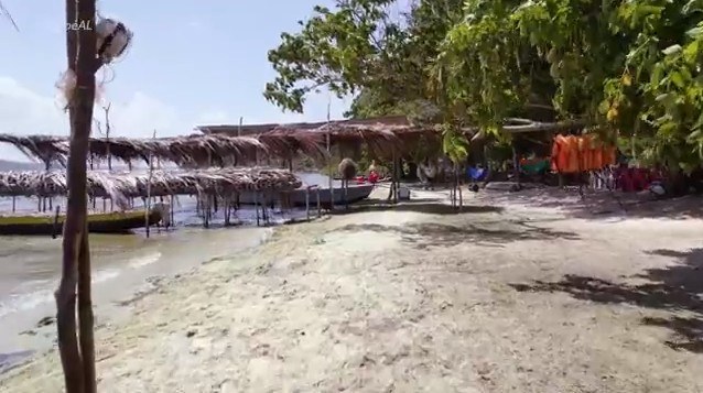 Roteiro completo com rio, mar e lagoa é a atração do município de Jequiá da Praia, AL