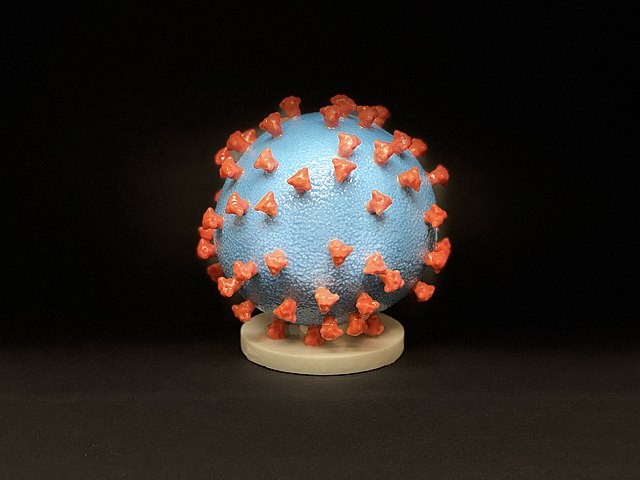 Modelo 3D da partícula do vírus Sars-CoV-2 (Foto: National Institute of Allergy and Infectious Diseases (NIAID))