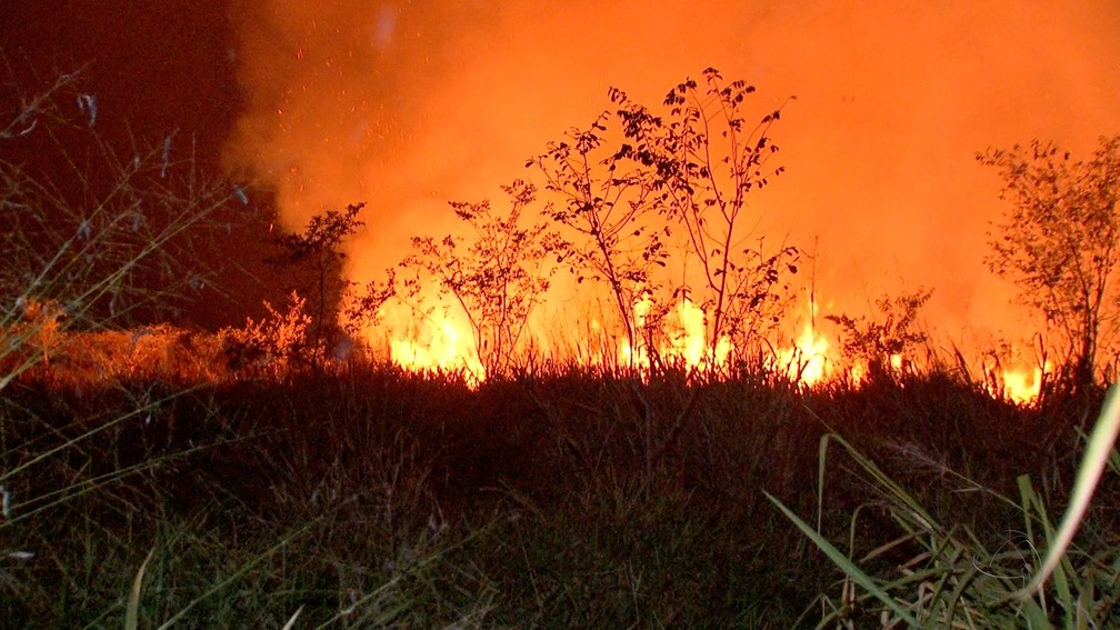 Tempo seco e os ventos fortes facilitam a propagação do fogo. — Foto: TVCA/Reprodução