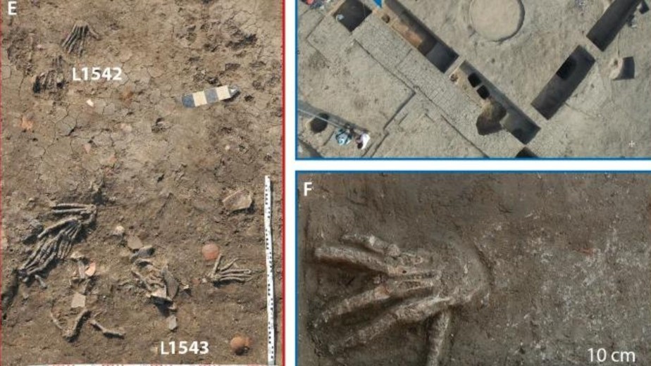 Arqueólogos encontraram 12 mãos decepadas do antigo Egito no sítio arqueológico de Avaris