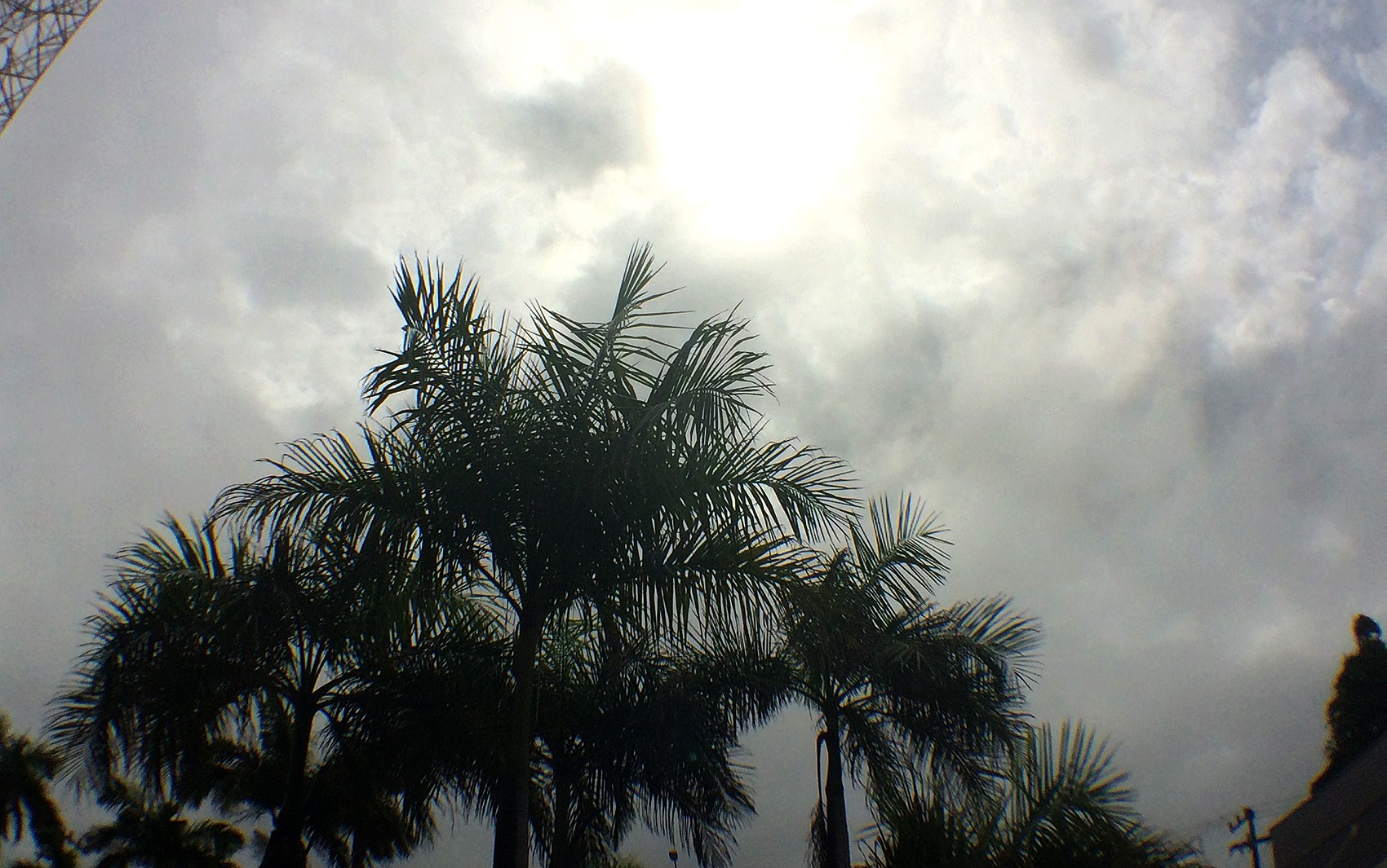 Veja as variações da temperatura para esta semana em São Luís