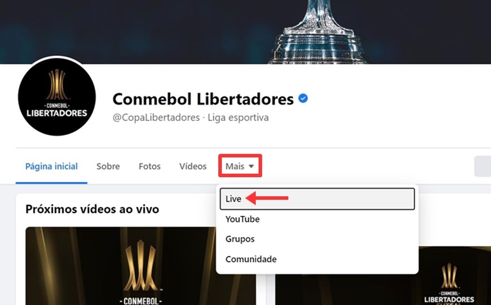 Flamengo X Ldu Ao Vivo Onde Assistir Ao Jogo Da Libertadores Streaming Techtudo
