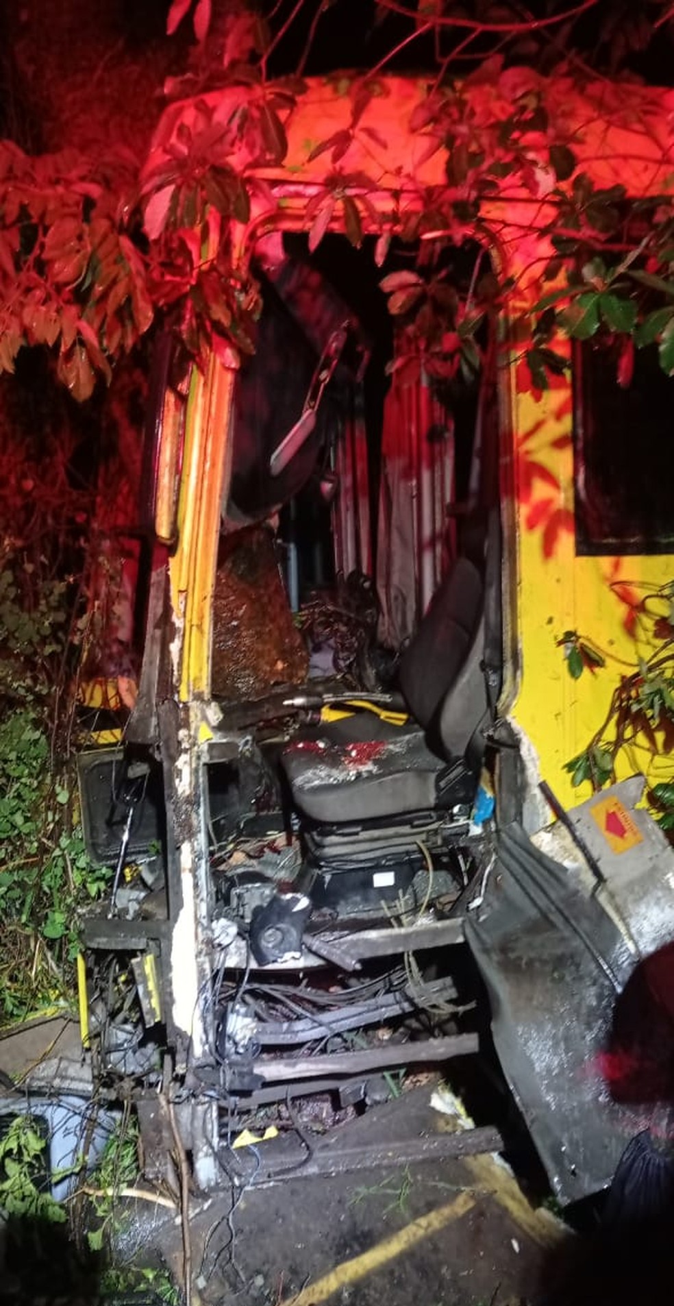 Bombeiros cortaram a lataria do ônibus para resgatar o motorista — Foto: Corpo de Bombeiros/ Divulgação