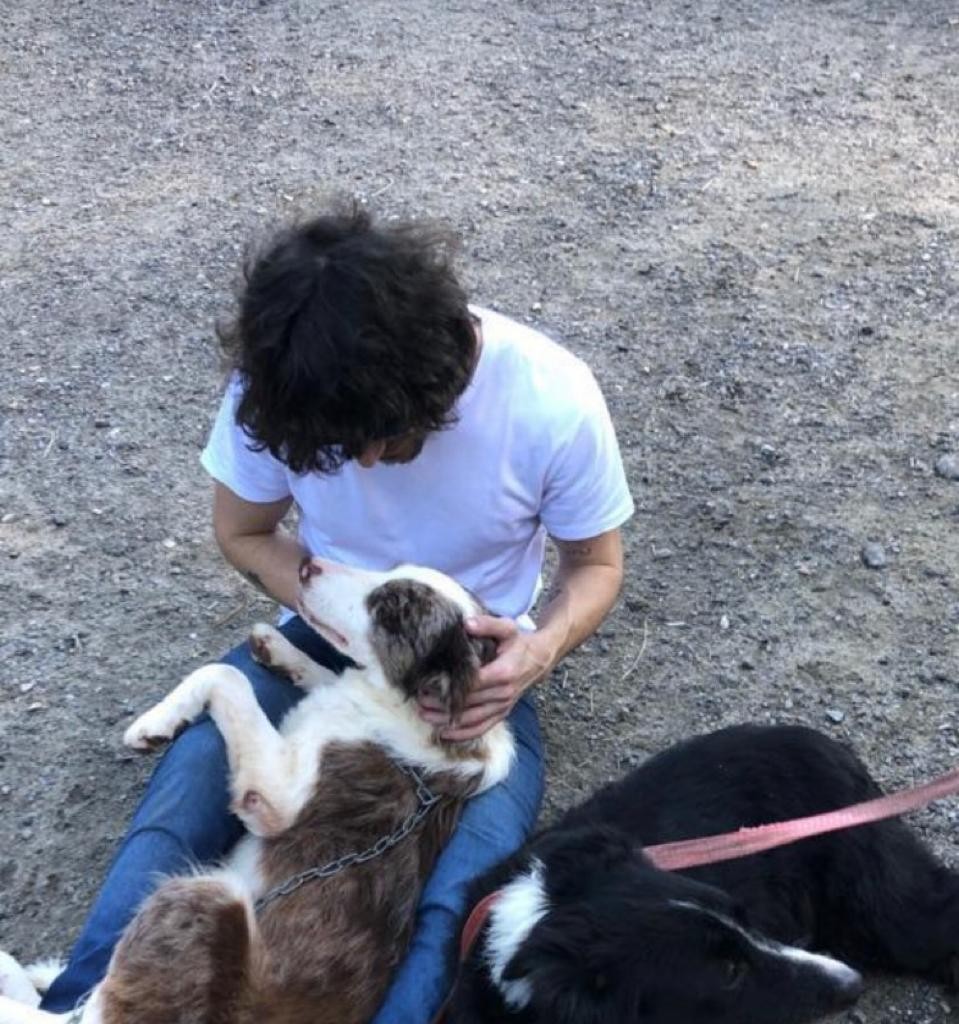 Fiuk com seus dois cães (Foto: Reprodução / Instagram)