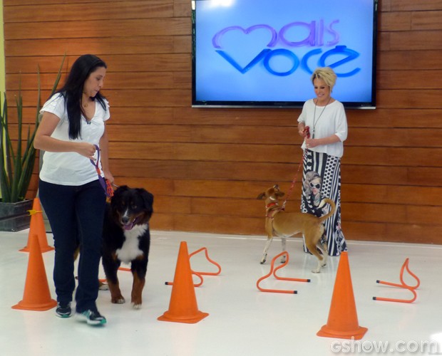 Cachorros fazem exercícios na Casa de Cristal (Foto: Mais Você / TV Globo)