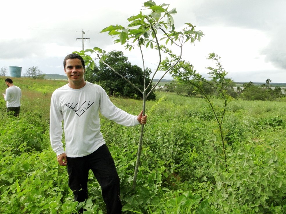 Experimento faz parte de uma rede internacional envolvendo 16 países, que também procuram impedir a desertificação em seus principais biomas (Foto: Divulgação/UFRN)