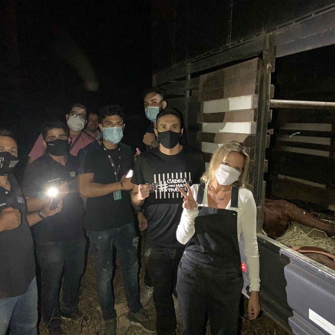 Luisa Mell resgata cavalo com ajuda de equipe (Foto: Reprodução/Instagram) Luisa Mell resgata cavalo com ajuda de equipe (Foto: Reprodução/Instagram)