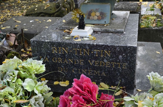 Cão 'Rin Tin Tin' é o animal mais famoso sepultado no local (Foto: Bertrand Guay/AFP)