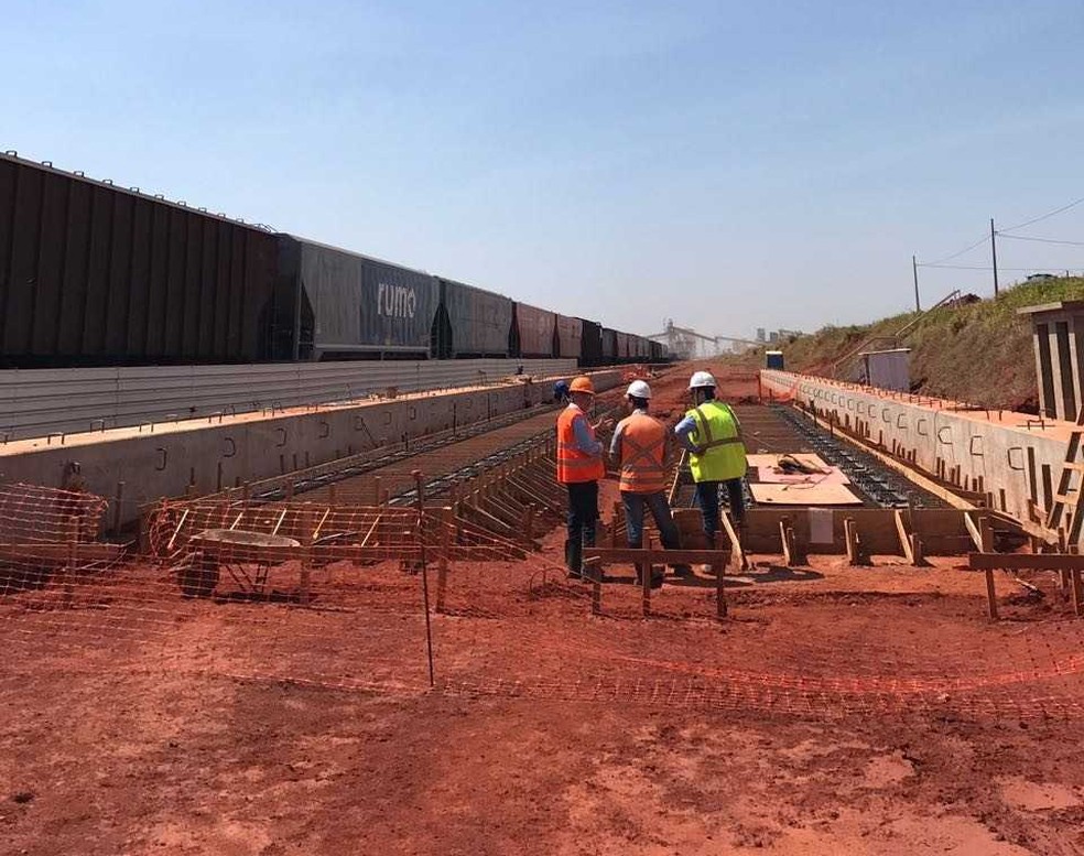 Projeto envolvendo o Porto promete reduzir o preço do transporte dos ...