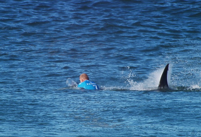 Momento em que tubarão se aproxima de Mick Fanning durante final da etapa de Jeffreys Bay (Foto: Divulgação / WSL)