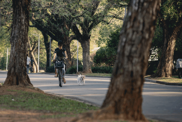 GIF - sequência bicicleta e cachorro, 60 anos do Parque Ibirapuera (Foto: Marcelo Brandt/G1)