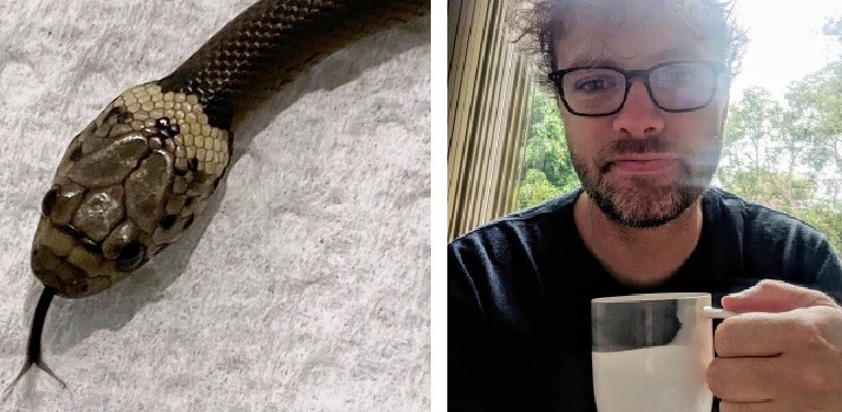 Homem encontra cobra venenosa em alface (Foto: Reprodução: AP/Facebook)