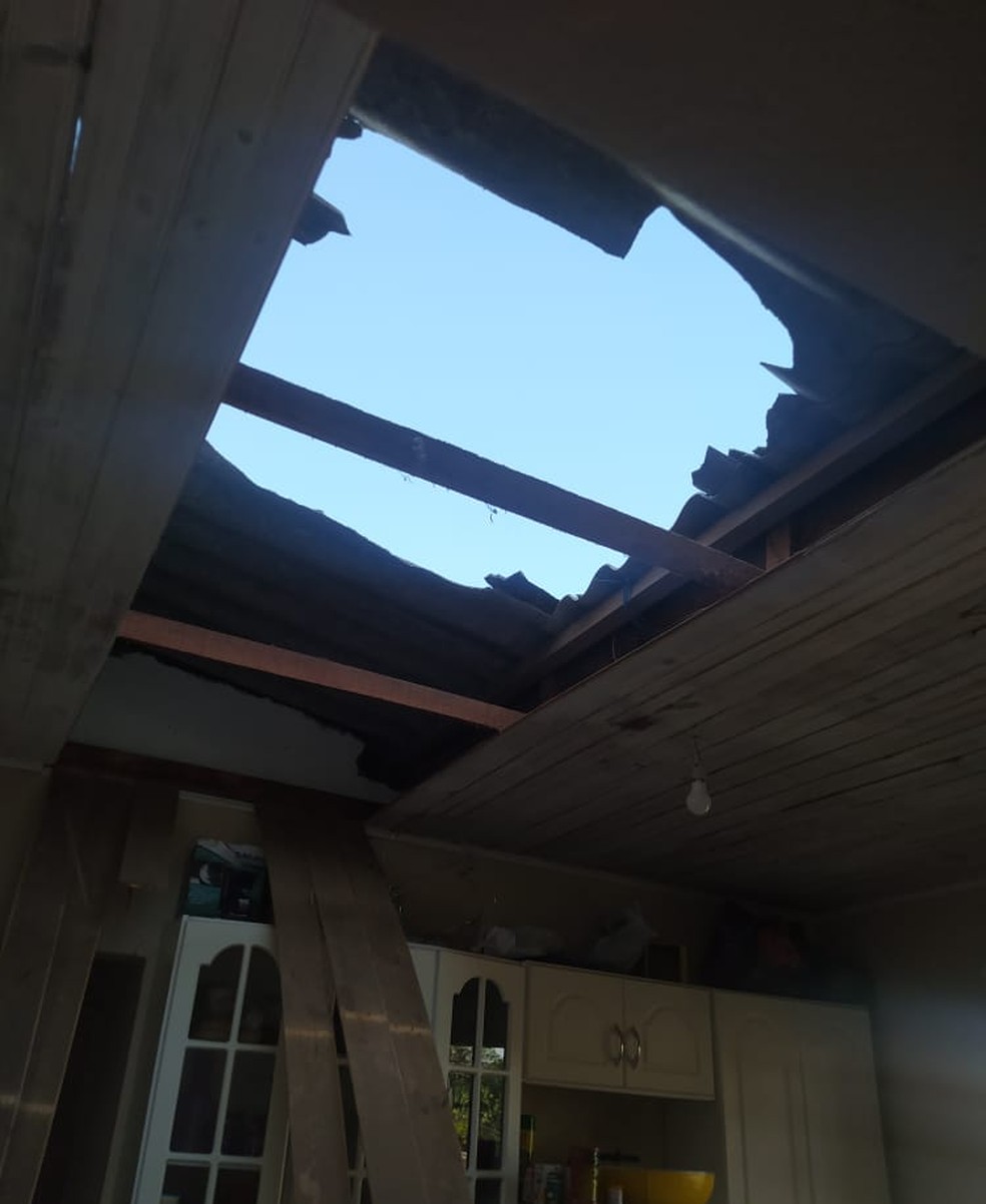 Moradora se assusta ap&oacute;s bode subir no telhado de casa e cair na cozinha em Sorocaba &mdash; Foto: Luciana Vidigal/Arquivo pessoal