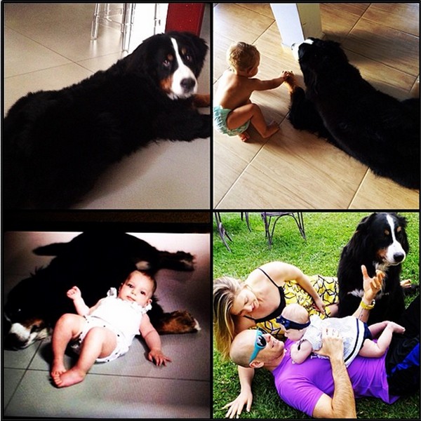 Sheila Mello posta foto de Branda e cachorro (Foto: Reprodução / Instagram)
