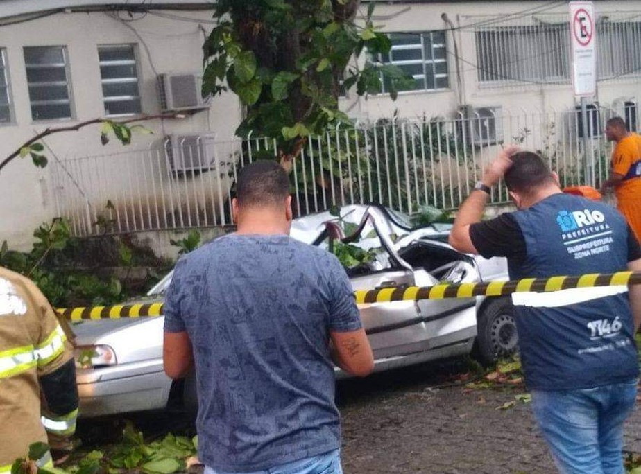 Carro foi amassado pela árvore em Marechal Hermes, na Zona Norte do Rio