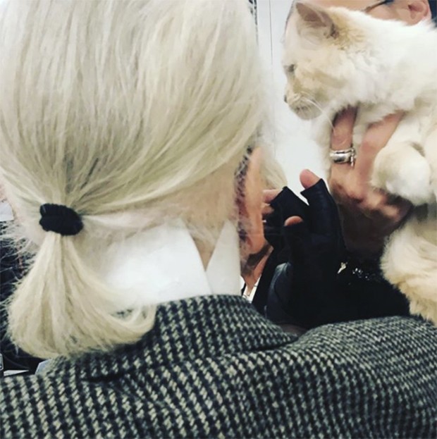 Karl’s turning his back on me in favour of Choupette - and who can blame him (Foto: @suzymenkesvogue)