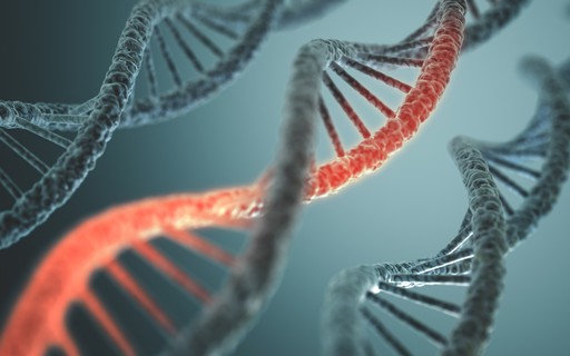 teste de dna que permite saber quem sao
