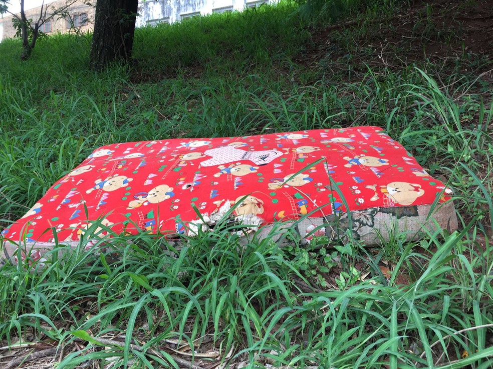 Ferrovia est&aacute; abandonada em Presidente Prudente (Foto: Wellington Roberto/G1)