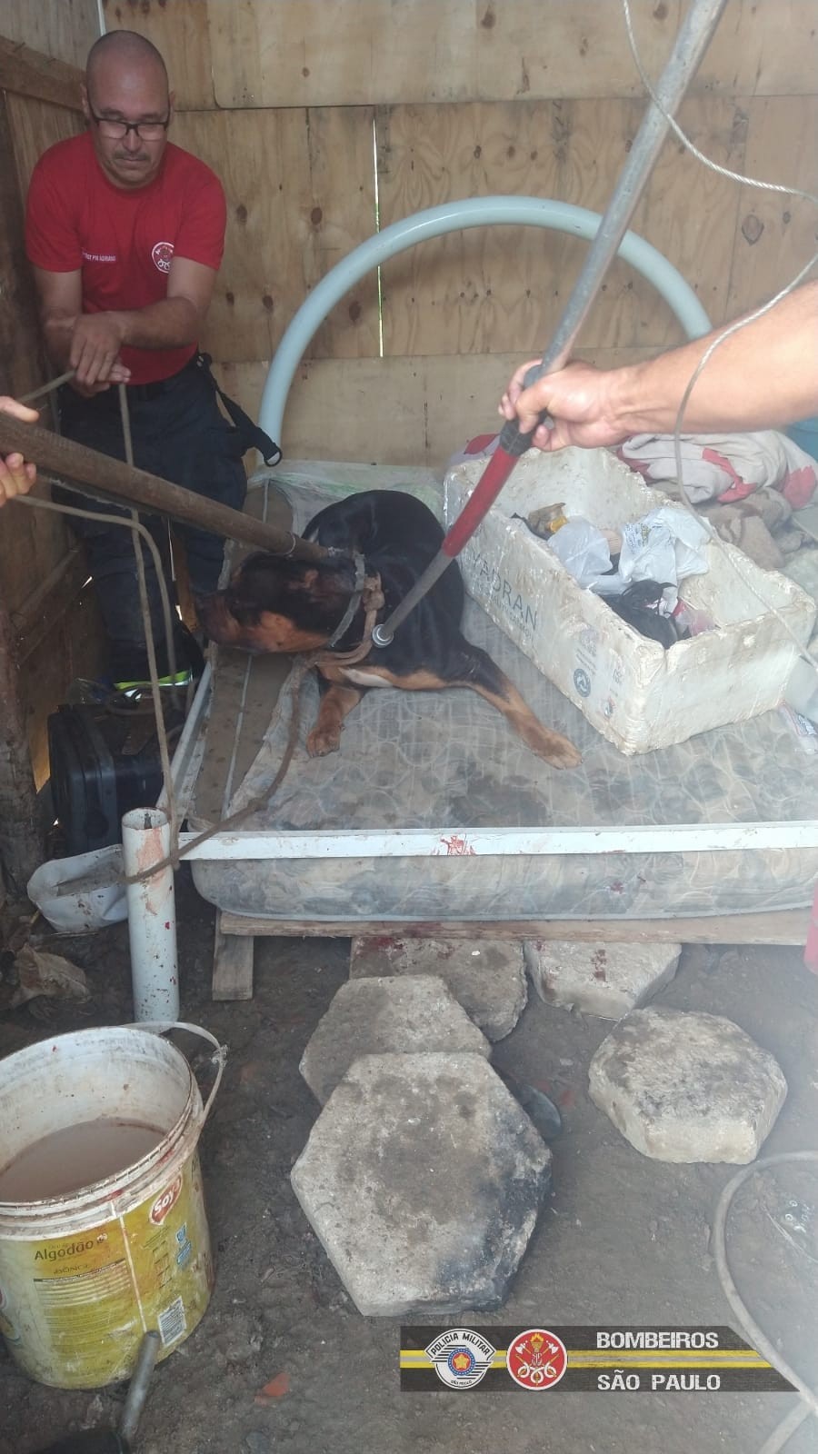 Homem fica com o braço ferido após ser atacado por cachorro em Caraguatatuba, SP