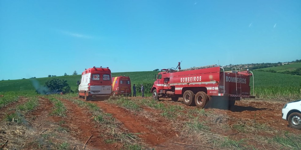 Outros trabalhadores presenciaram a cena e acionaram o resgate — Foto: Central da Notícia/Divulgação